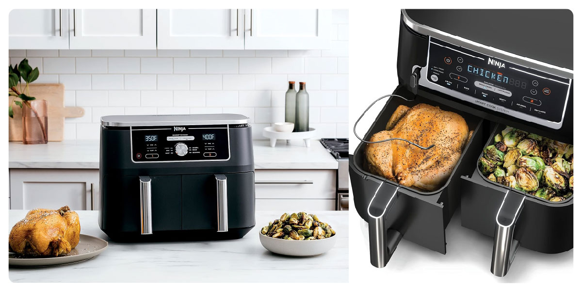 Ninja air fryer dz550 review